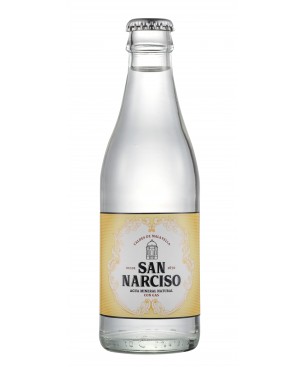 SAN NARCISO 1/4 RETORNABLE (24 UD.)
