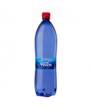 GASEOSA PLASTICO FUENTPINOS 0,50 L (12 UD.)