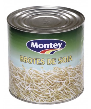 BROTES SOJA 3 KG MONTEY (UD.)