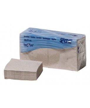 SERVILLETA 2/C 20X20 P.P. NATURE 100 UD X 30(UD.)