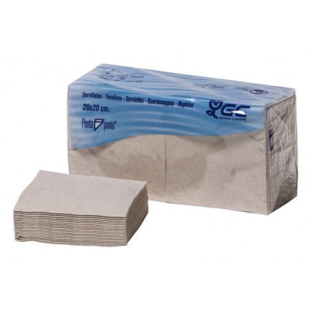 SERVILLETA 2/C 20X20 P.P. NATURE 100 UD X 30(UD.)