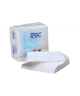SERVILLETA 2/C 30X30 100 UD X 30(UD.)