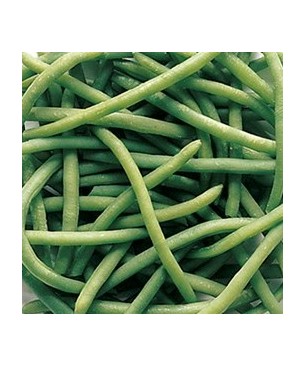 JUDIA EXTRA FINA 4/2'5 KG  (PRECIO KILO)