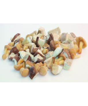 SETAS MEZCLA 4/2'5 KG  (PRECIO KILO)