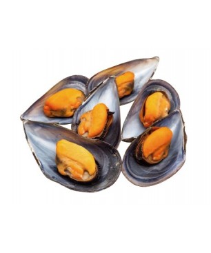 MEJILLON JUGOSON 6/1 KG (6 KG.)