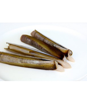 NAVALLES HOLANDESES (12CM) IQF 5KG(5 KG.)