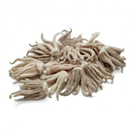 CALAMAR REJO 5 KG (5 KG.)