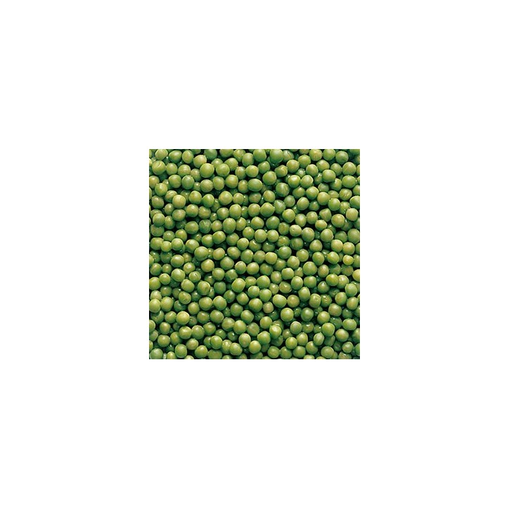 PÈSOL FI 5/2 KG  (PREU KILO)