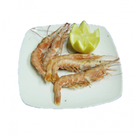 GAMBA LANGOSTINERA Nº 1 2 KG(2 KG.)
