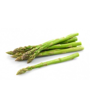 ESPÀRREC VERD SENCER MITJA 5/1 KG  (PREU KILO)