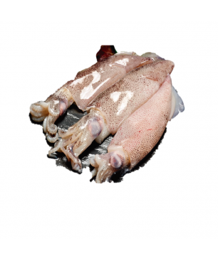 CALAMAR PATAGONICO CP4 NOR 0% 5 KG APROX  (PRECIO KILO)