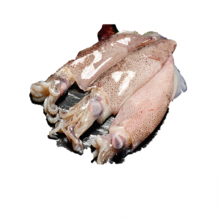 CALAMAR PATAGONICO CP4 NOR 0% 5 KG APROX  (PRECIO KILO)