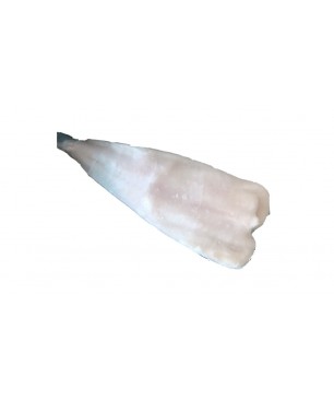 CUA DE RAP  S/P 700/1000 10 KG  (PREU KILO)