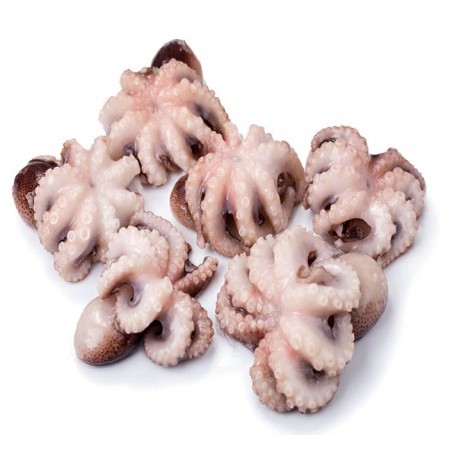 PULPITO VIETNAMITA (20/40) 6 KG  (PRECIO KILO)